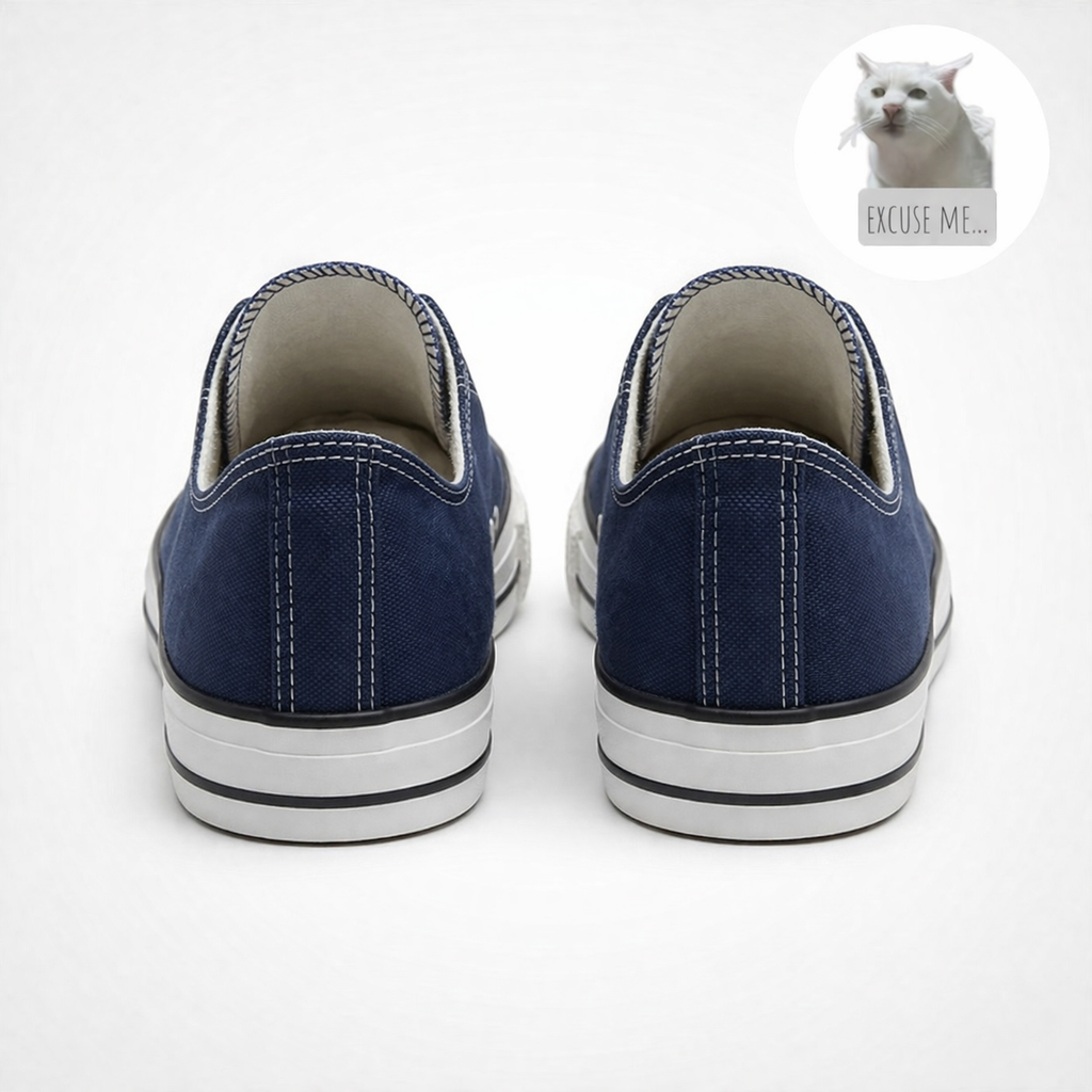 Funny Cat Meme Excuse Me Sneakers – Blue Canvas Low Top Shoes, Cute Casual Gift for Women & Men