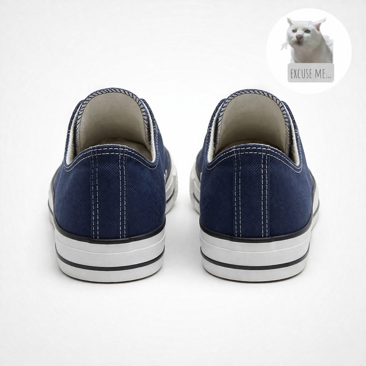 Funny Cat Meme Excuse Me Sneakers – Blue Canvas Low Top Shoes, Cute Casual Gift for Women & Men